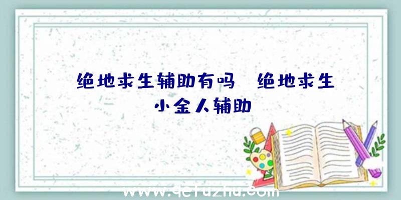 「绝地求生辅助有吗」|绝地求生小金人辅助